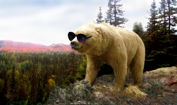 Creation of The Bear Went Over the Mountai: Step 5